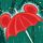定制新版瑞金大学文凭学位【degxx.com】
